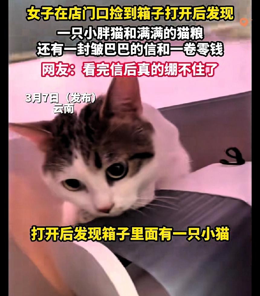 云南小姐姐捡到的这个箱子，藏着最戳心的温柔！
 
店门口突然多了个纸箱，打开一看
