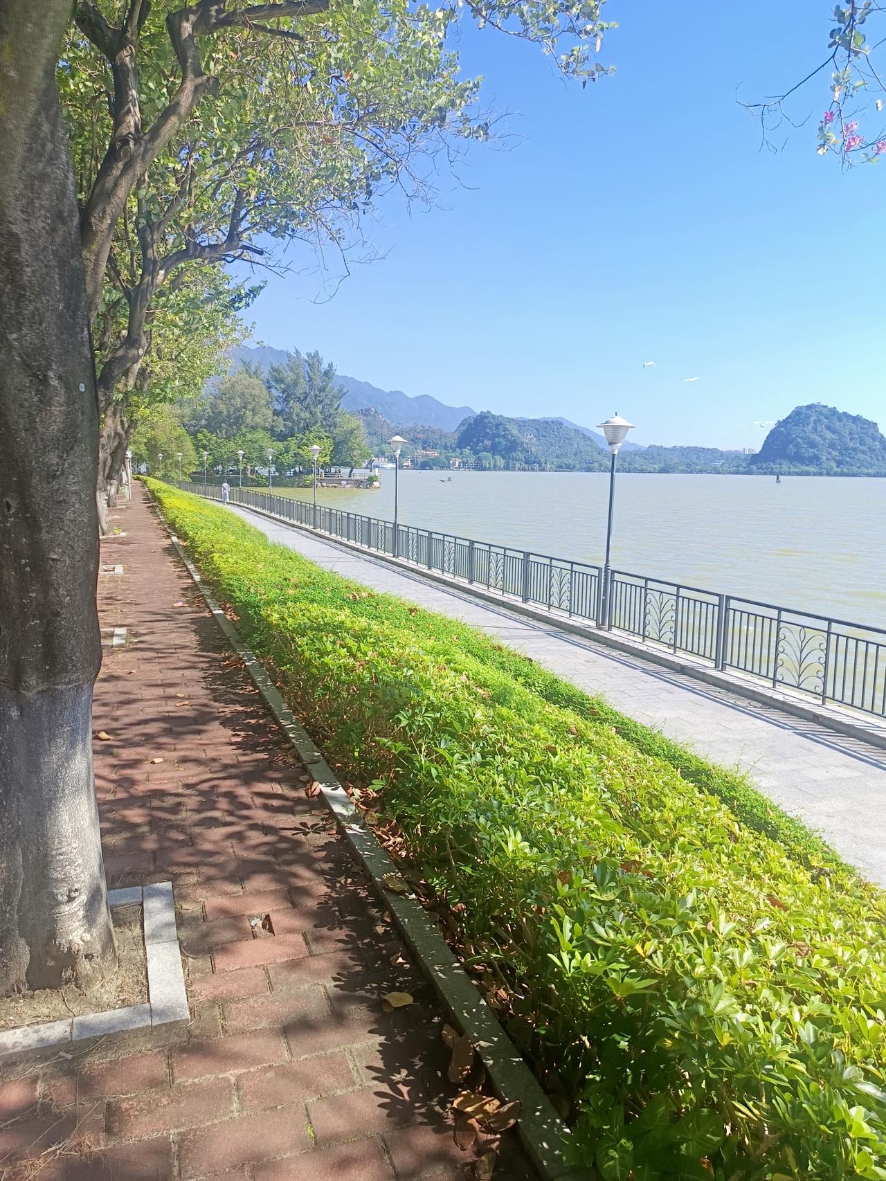 我终于知道了
为什么肇庆的七星岩区风景这么好看
十一期间依然有这么少的游客过来？