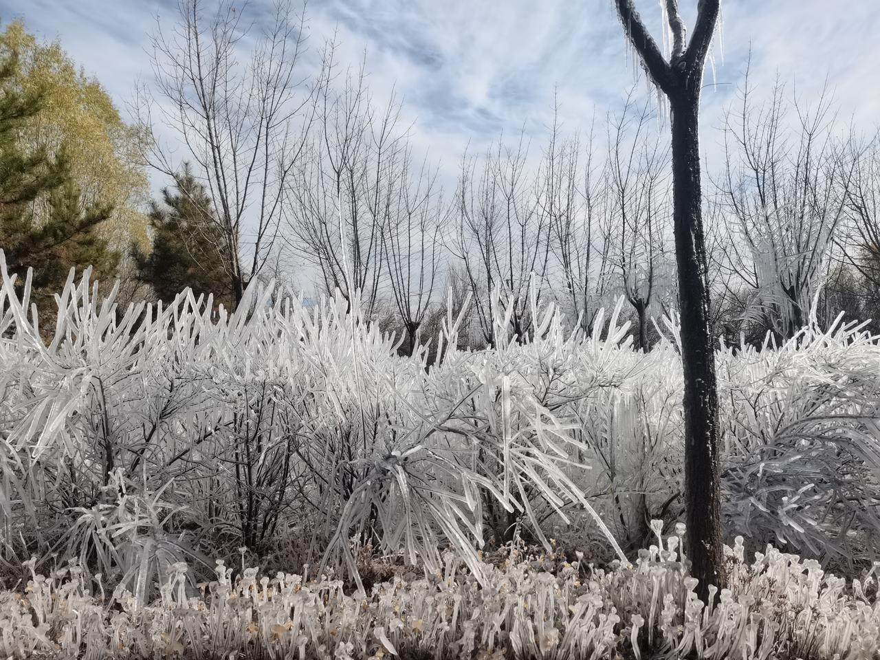 ＃手机随手拍原创图片＃
       这是我前天在沣汇公园河边随手拍摄到的原创图