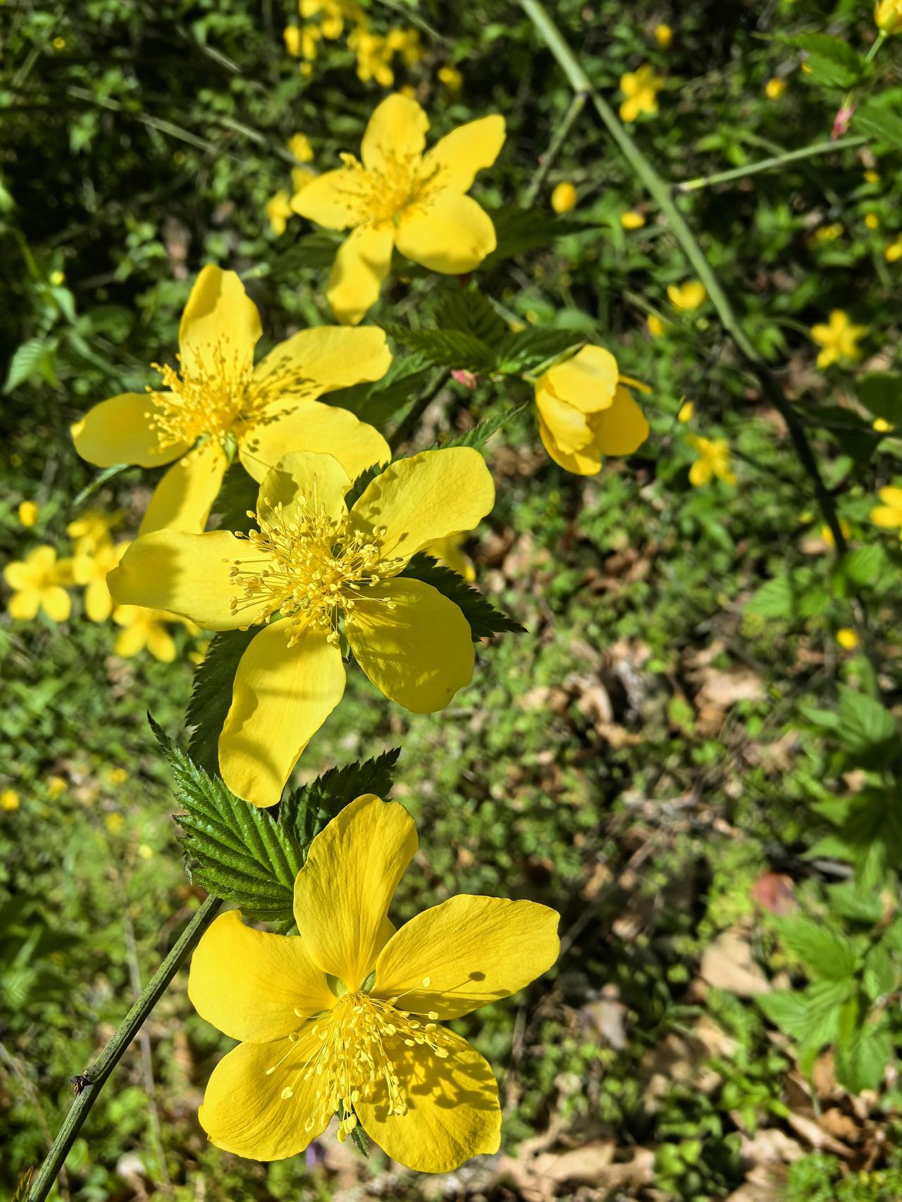 你还会把钱放在银行吗不放银行放哪里呢？目前的投资渠道不多，投资机构不靠谱，股市不