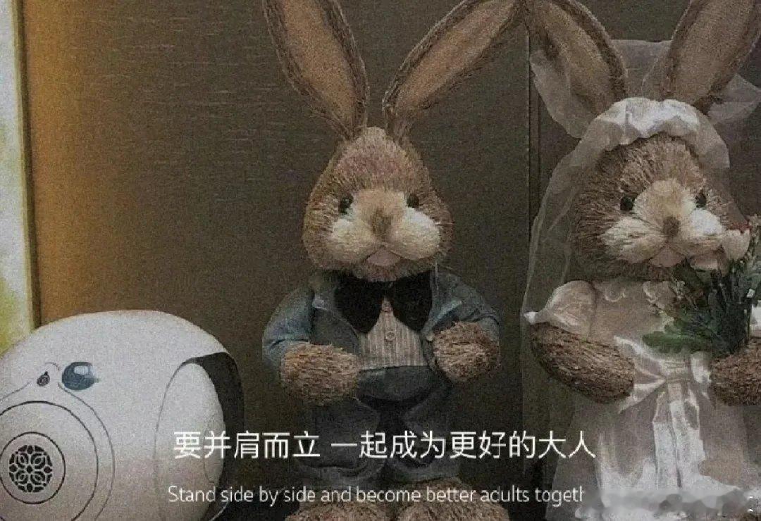 #言情小说[超话]#0815生活给你的苦难，其实是在铺垫浪漫🥗🎋🌾🍡📚