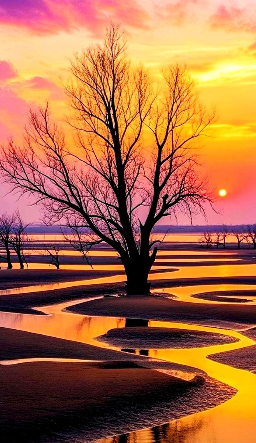 站桩守静，无求自得
 

我瞅着身边有些人，总问这日子啥时候是个头，把每一天都过