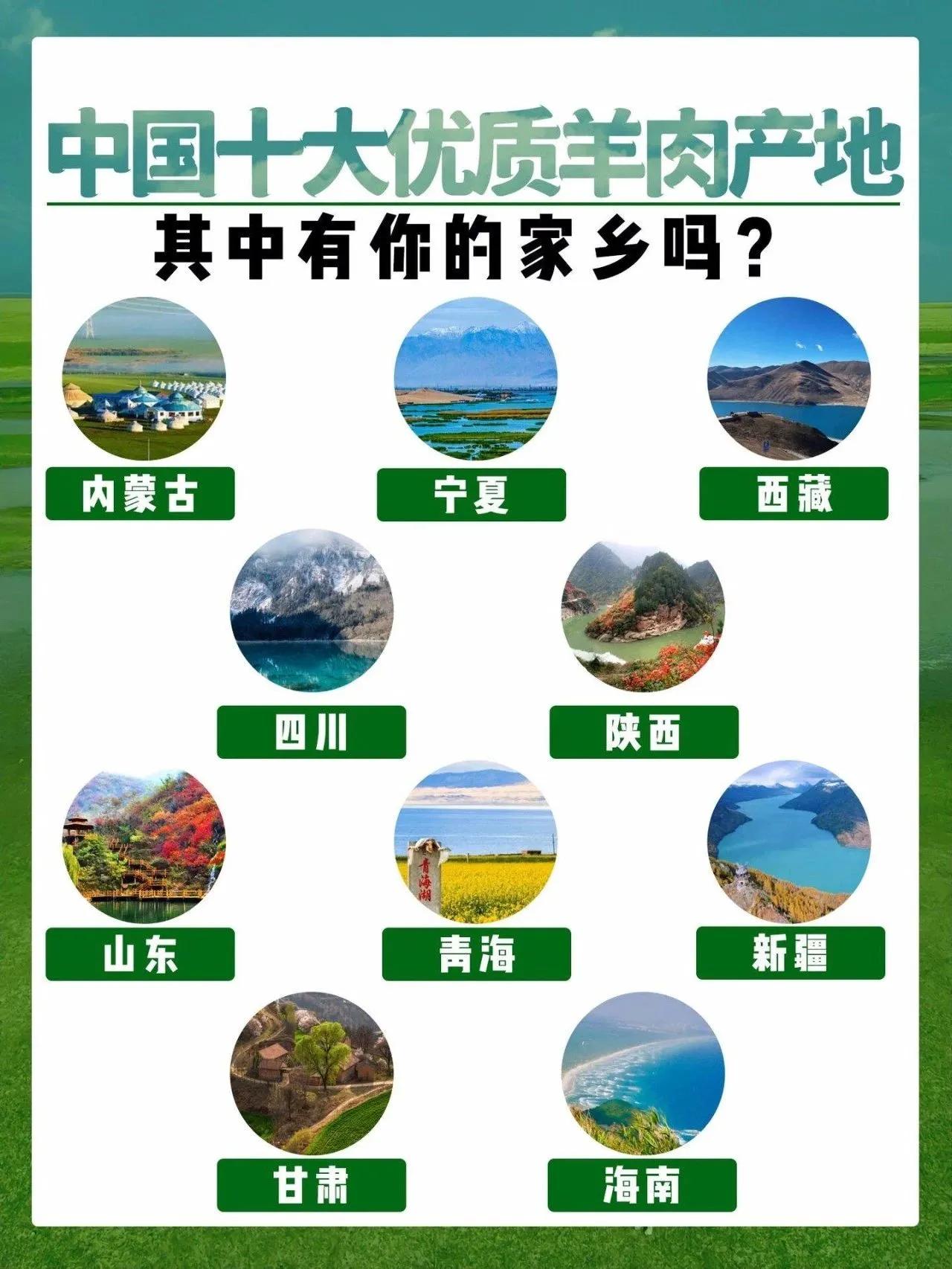 十大优质羊肉产地，建议收藏下。