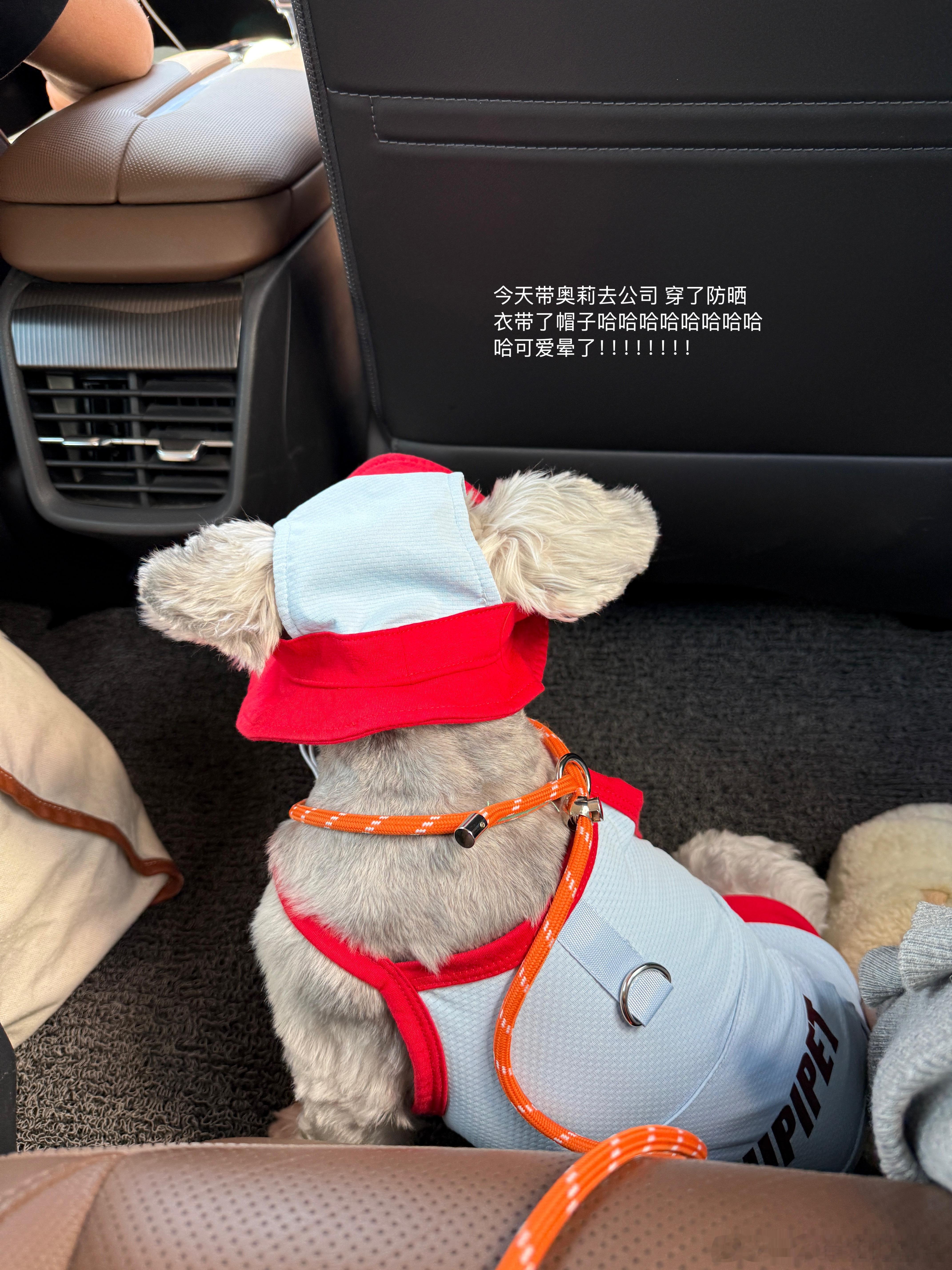 喜欢五颜六色可能上年纪了[裂开] ​​​