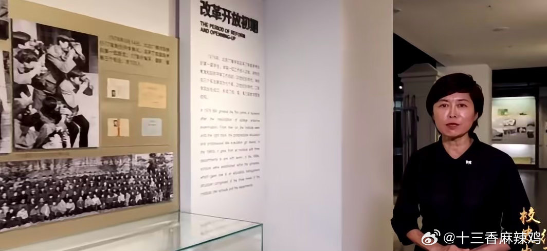 敬一丹工作时倒在自己的家乡白岩松那句“在工作时倒在自己的家乡”，听着心一沉，又觉