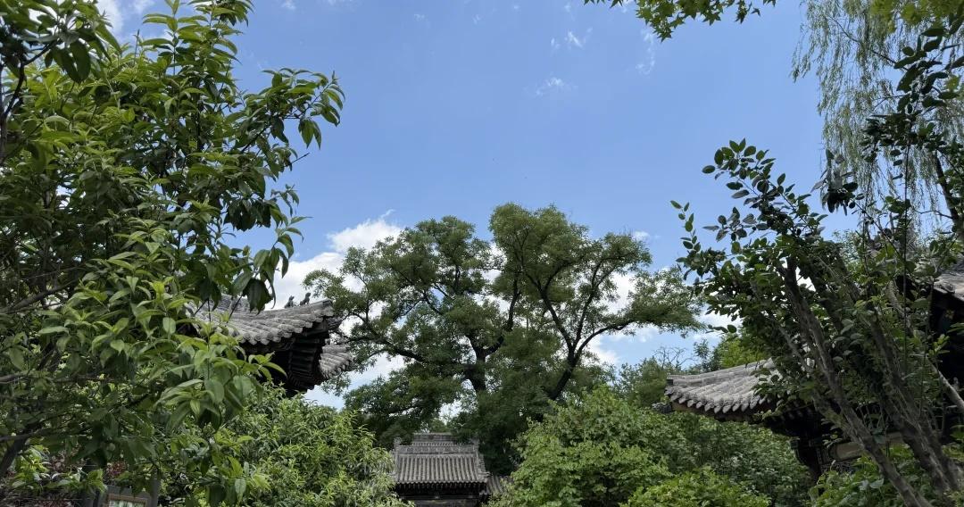 完美的蓝天和空气
太原的气温很凉爽，空气很好很好。
杭州呢？[流泪]