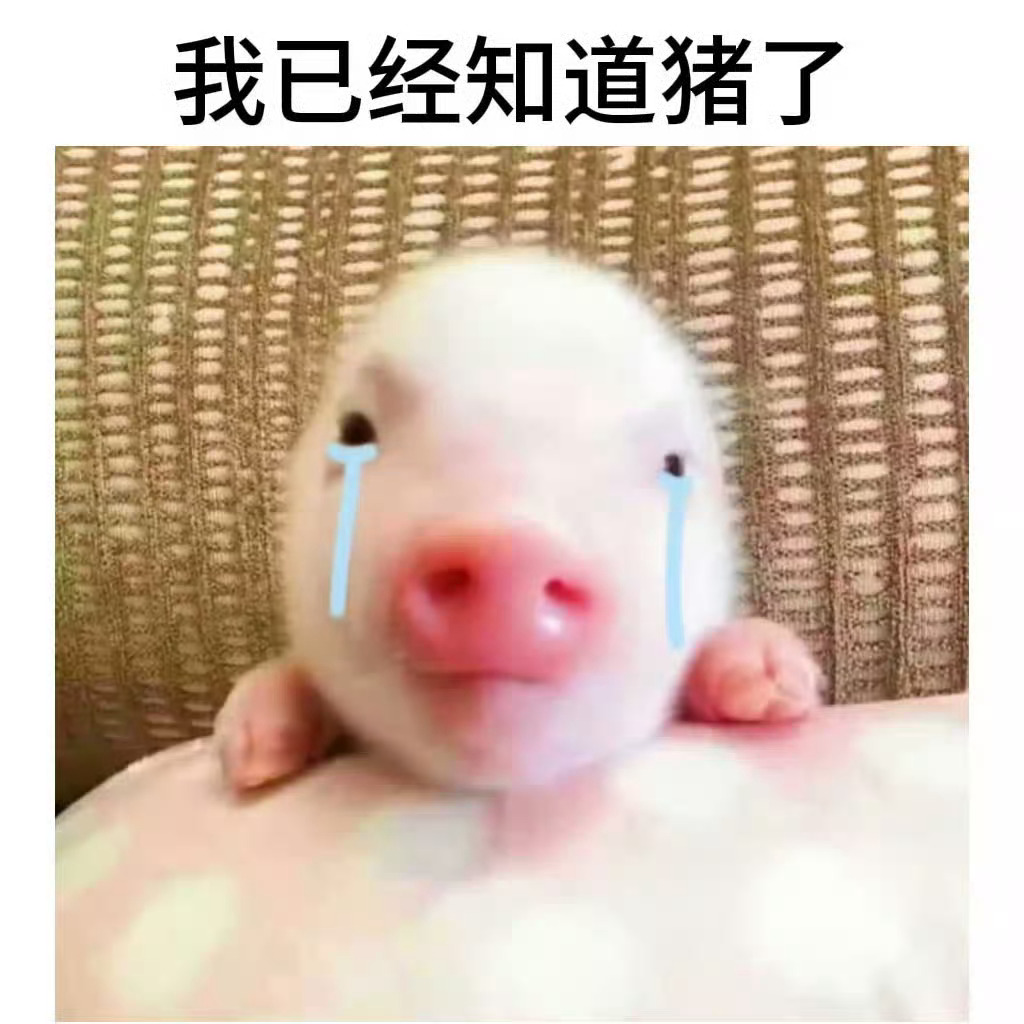 分享图片 