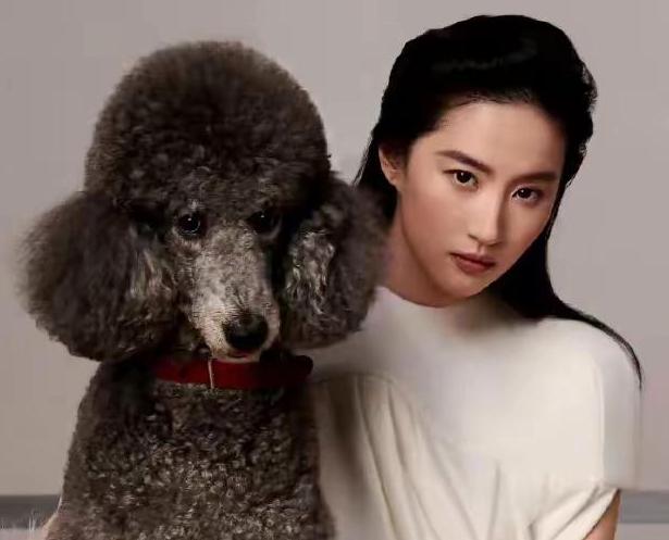 刘亦菲携爱犬“哈哈”登上了《时尚芭莎》2026年九月刊封面。这不仅是她连续第五年