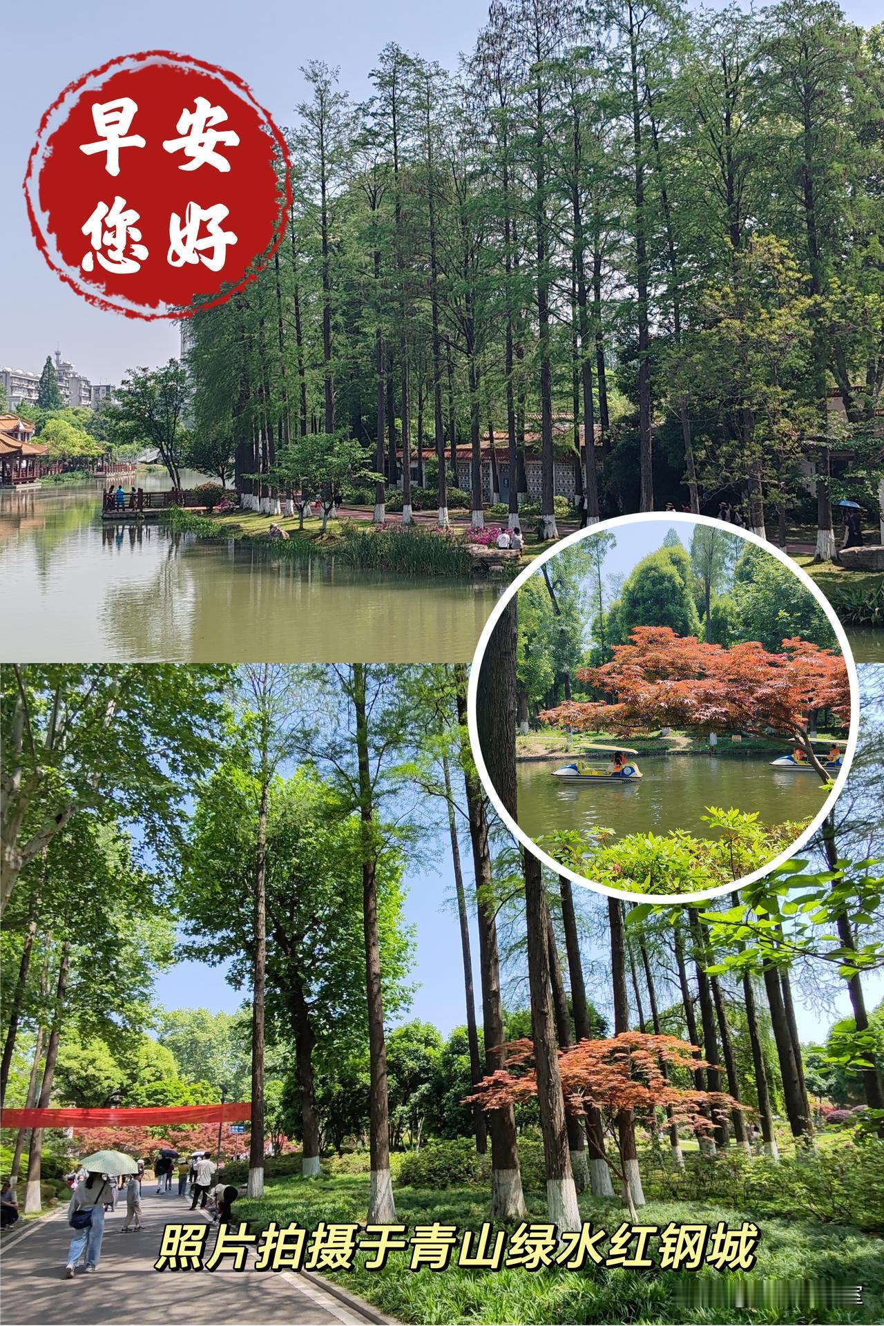 新的一天开始了，开心快乐每一天！🍎🇨🇳🍎新的一天早安图