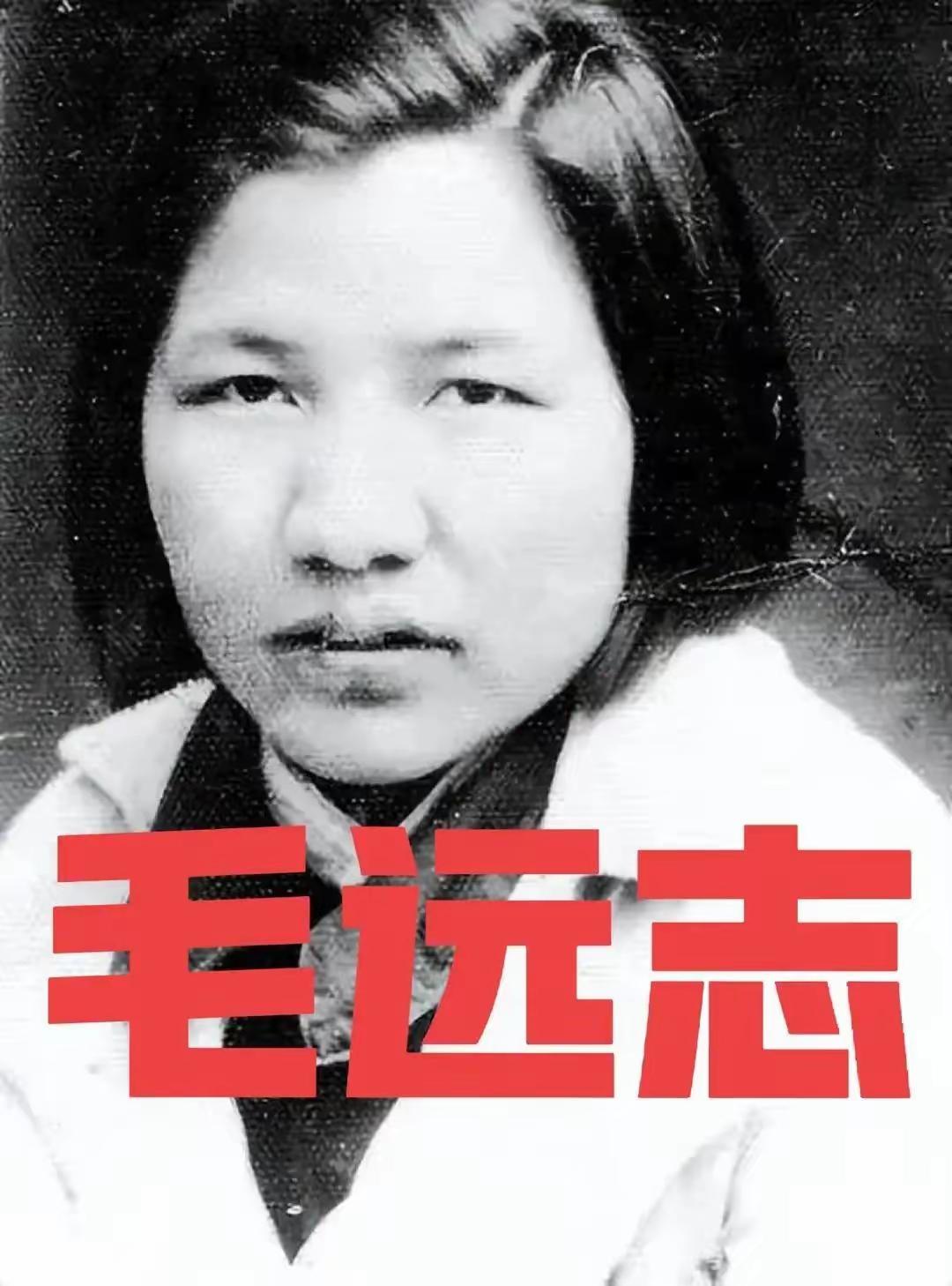 1990年7月的北京，蝉鸣在老槐树间织成密网，闷热的空气黏在窗玻璃上凝出水珠。