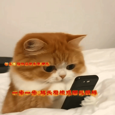 娜扎风衣红裙反差感 不得不感慨娜扎的时尚驾驭力，风衣和红裙放在一起很容易违和，在