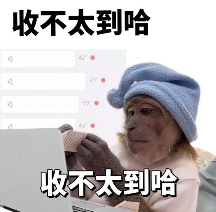 有意见可以提，但是改不了 