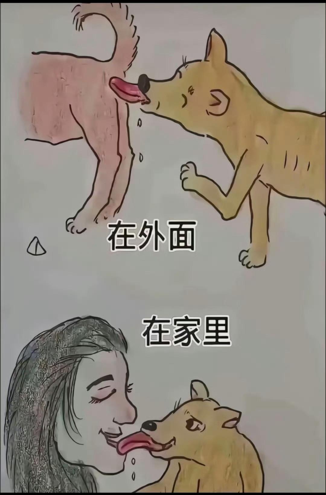 家里小狗瞬间不敢亲了，我滴妈呀！
