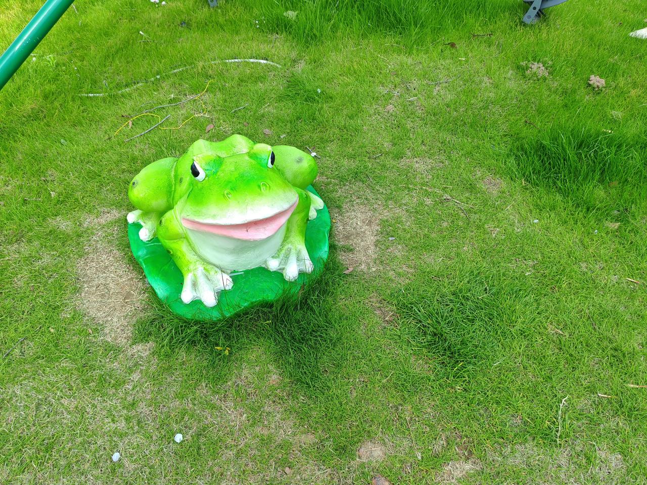 晒图笔记大赛一只绿色的青蛙🐸蹲在草地上，十分可爱。