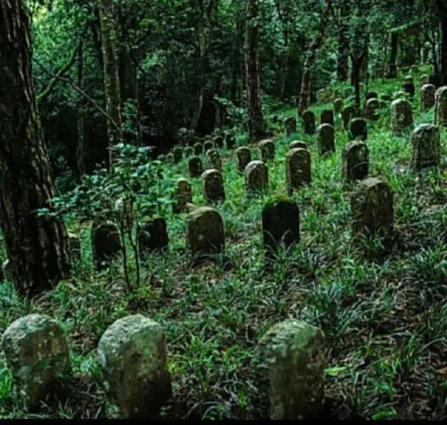 一排排的墓碑矗立在山林深处，四周杂草丛生，墓碑上长满青苔。
没人知道墓碑主人是谁