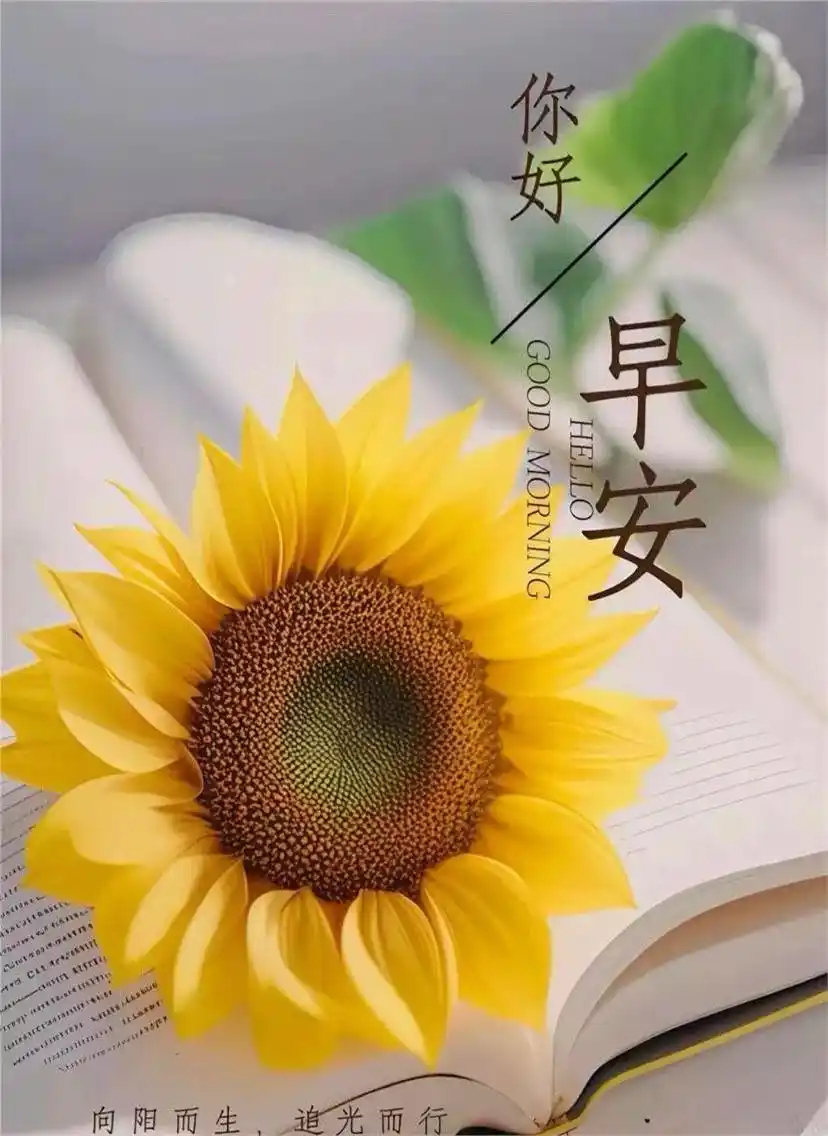早安。成年人的快乐，常常不是等来的，是自己“挖”出来的。不是所有行业都适合微笑服