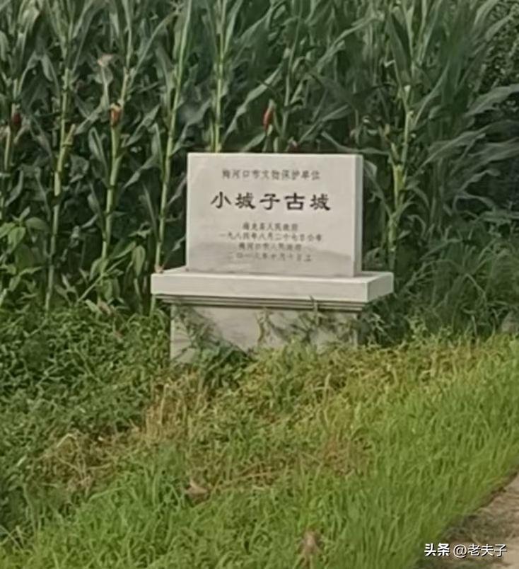 原创随手拍之（2818）
吉林省梅河口市杏岭镇小城子村小城子遗址。
地处梅河口市