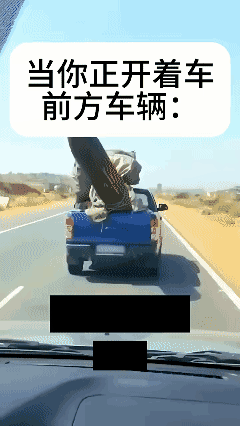 前面车掉的，能捡回家不