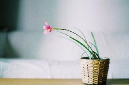 这些星座表面很凶，其实只是纸老虎白羊座：白羊只是脾气急，做事经常会冲动，刚接触白