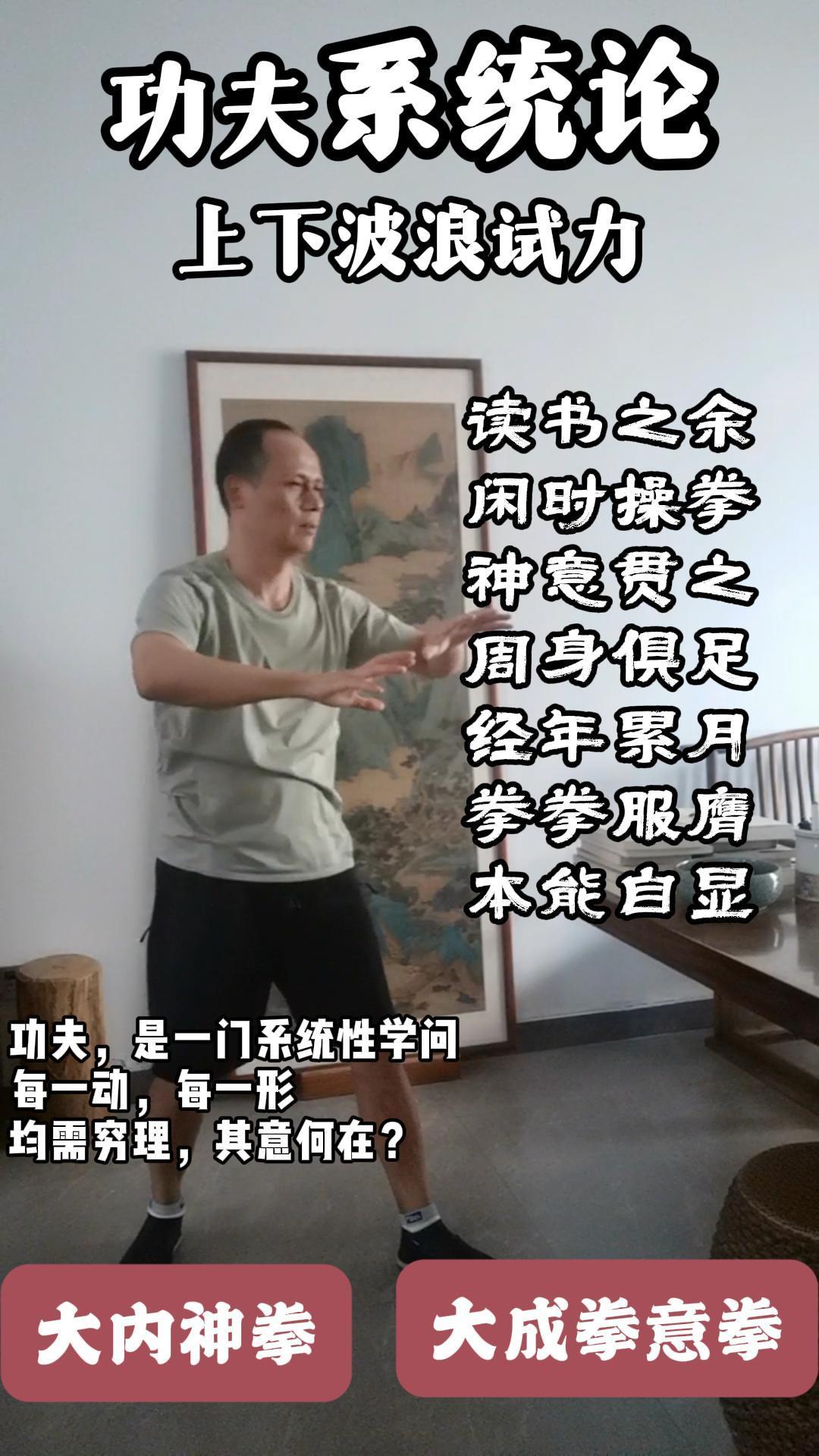 功夫系统论之上下波浪试力

读书之余
闲时操拳
神意贯之
周身俱足
经年累月
拳
