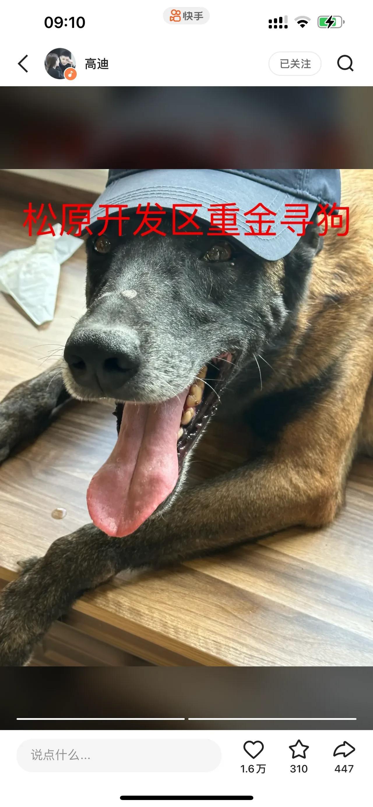 近日，“一人饮酒醉”原唱，吉林松原市大网红高迪发布了一条寻狗启示，因自己养的爱犬