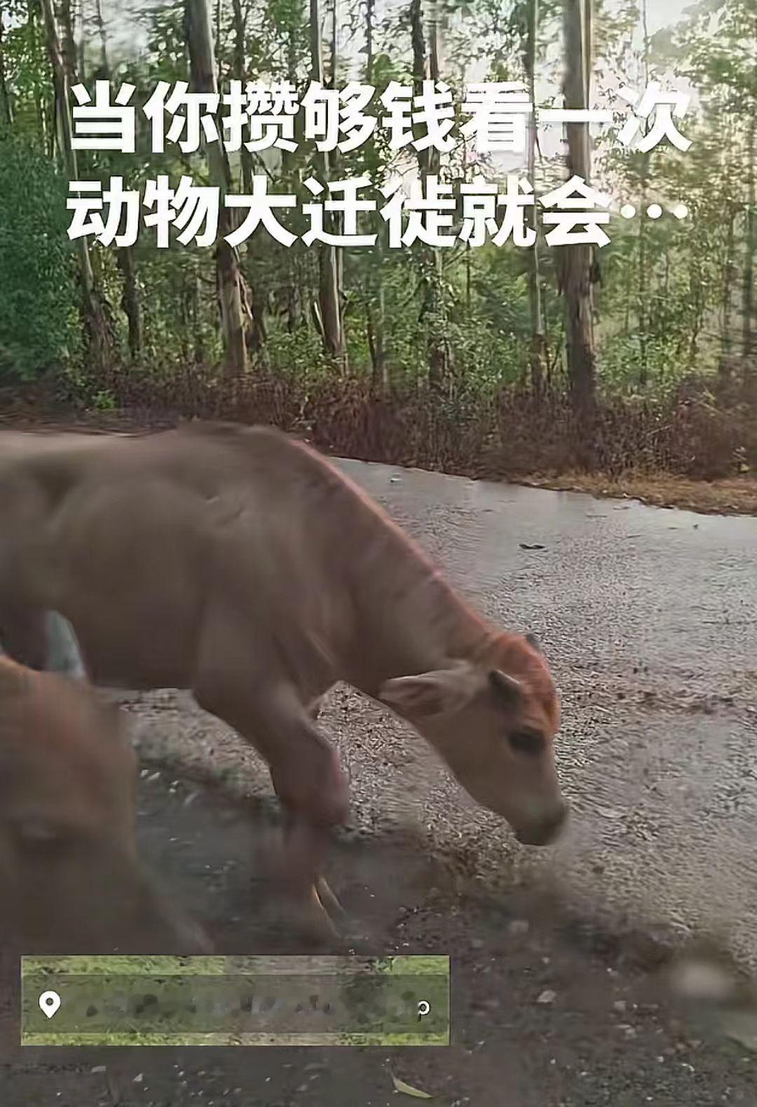 太震撼了，感受大自然的力量 