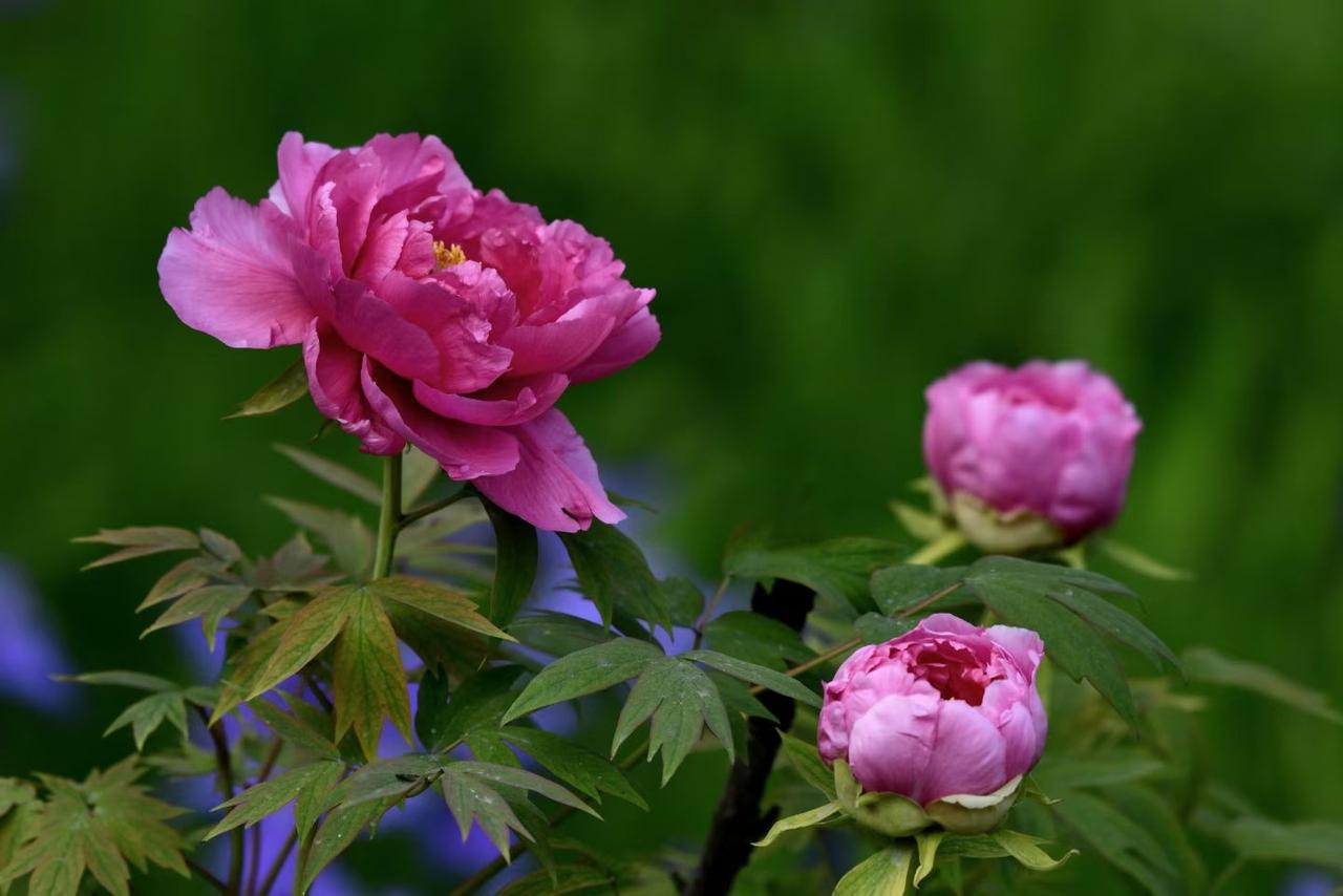 早上去银行，说句实话，现在特别不喜欢去银行办理业务，因为现在是高科技时代，什么都