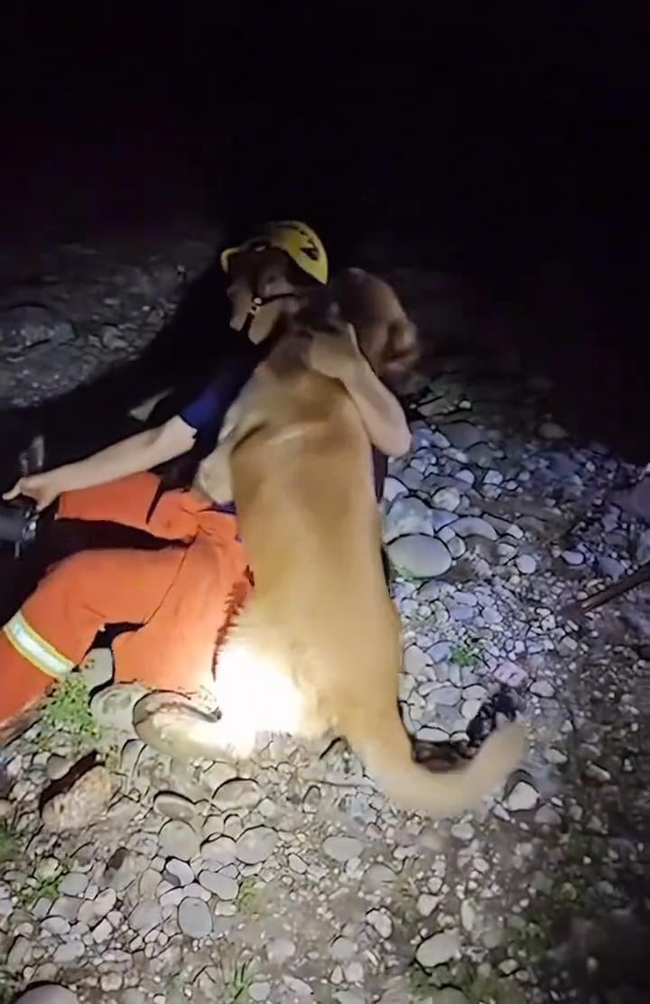 四川消防员在山中救下了狗子，狗狗一路贴贴抱抱。
它爱上你了，你救了它的狗命。我感