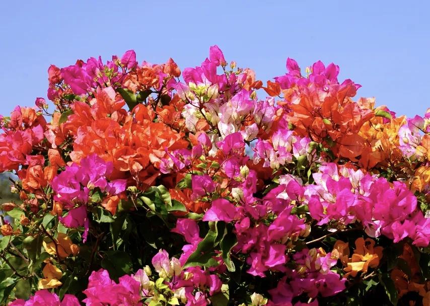 【婚姻不易，修万里长城般的工程，从来都需要足够的耐心与妥协】
        婚