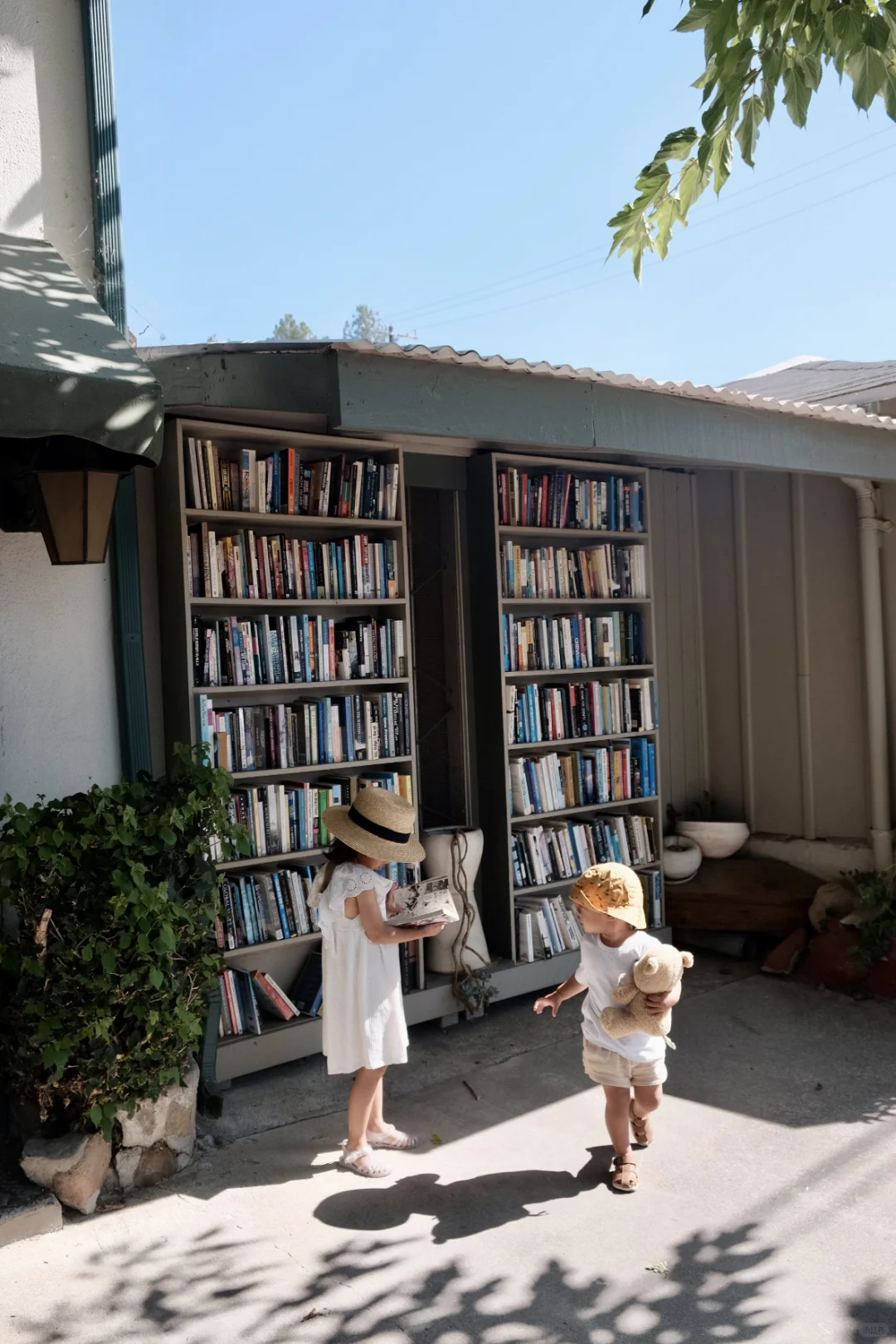 Ojai｜🇺🇸最大的户外书店 Bart’s Book