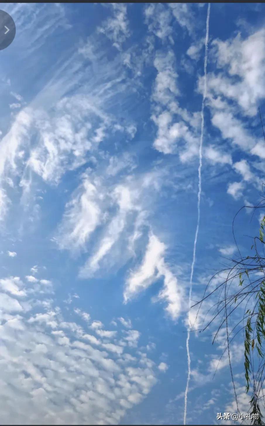 马桶泡沫揪出罕见病！这家人的经历给所有人提了醒
 
浙江妈妈偶然发现儿子忘冲的马