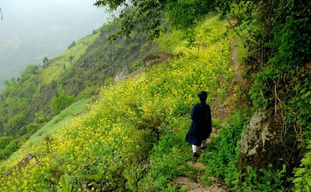 2008年4月，为了给一家杂志写一篇关于道教的文章，我在四川大邑鹤鸣山住了十来天