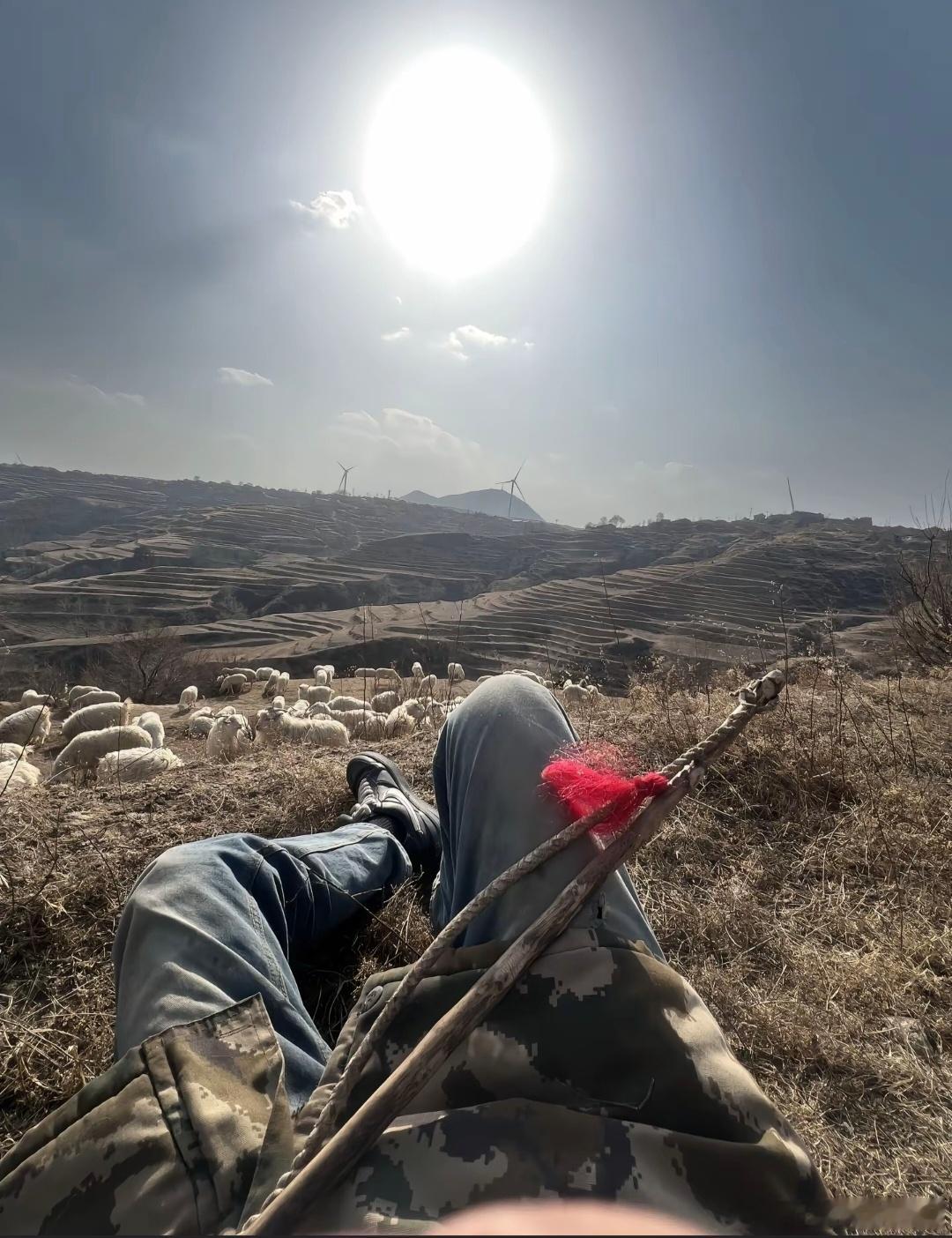 3 万多亩的牧区照看近 3000 只羊，包吃住，有 WiFi，全年无休，年薪 1