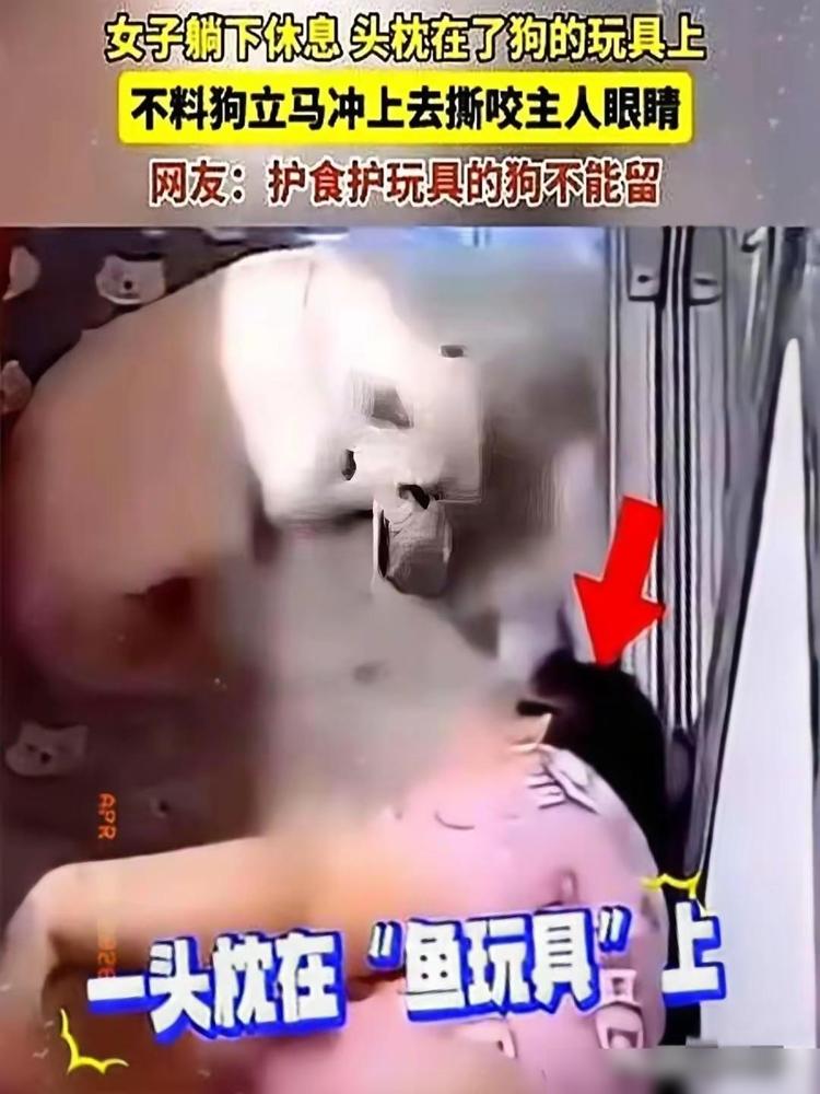 畜生永远是畜生！2024年媒体报道，黑龙江﹣女子躺下休息，头枕在了狗的玩具上，没