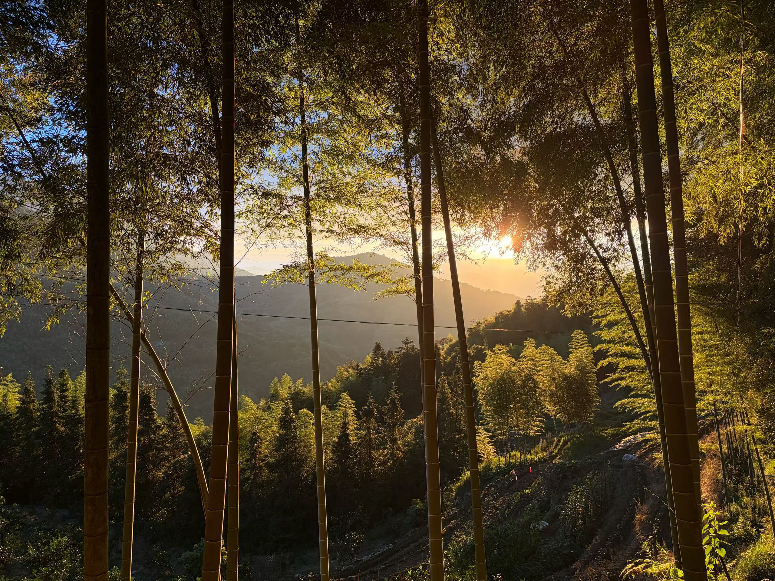 端午老回家，邂逅一场晚霞 