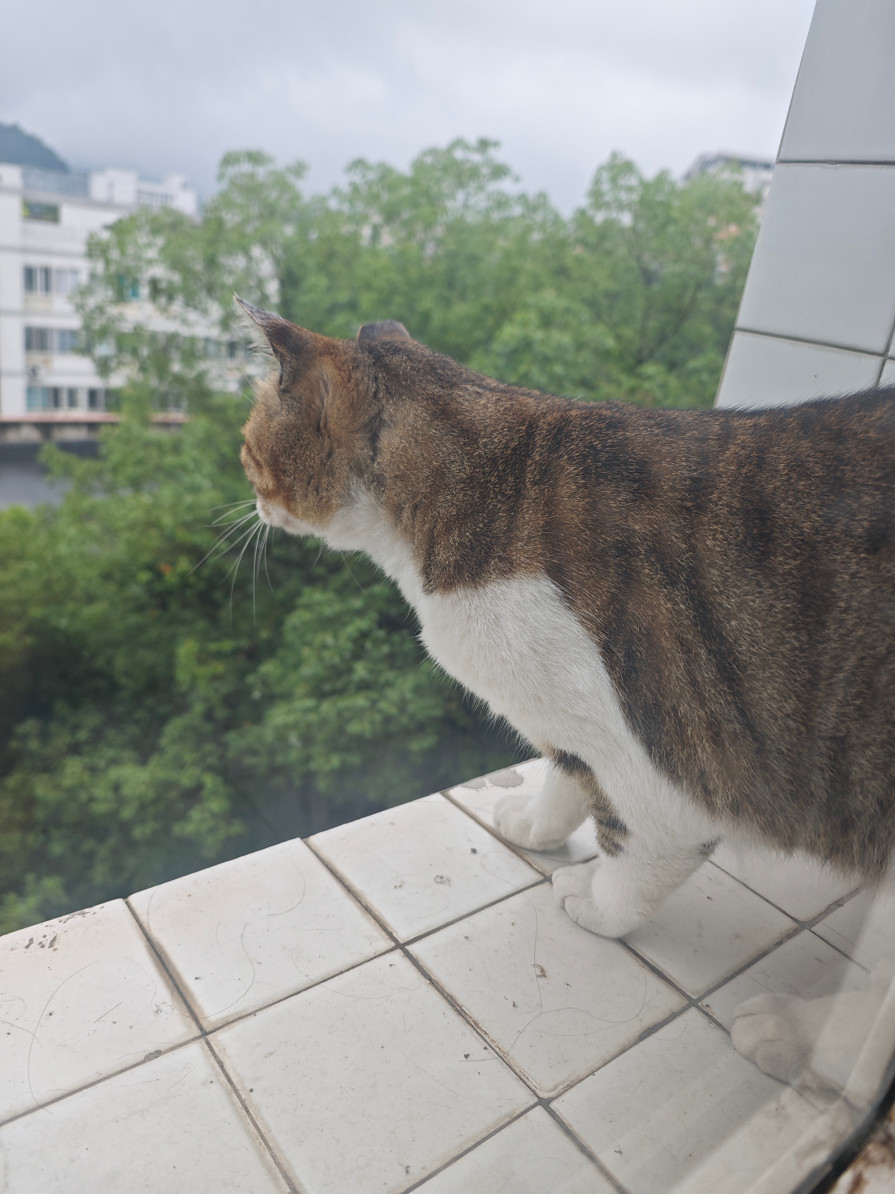 学姐大清早就来找我
