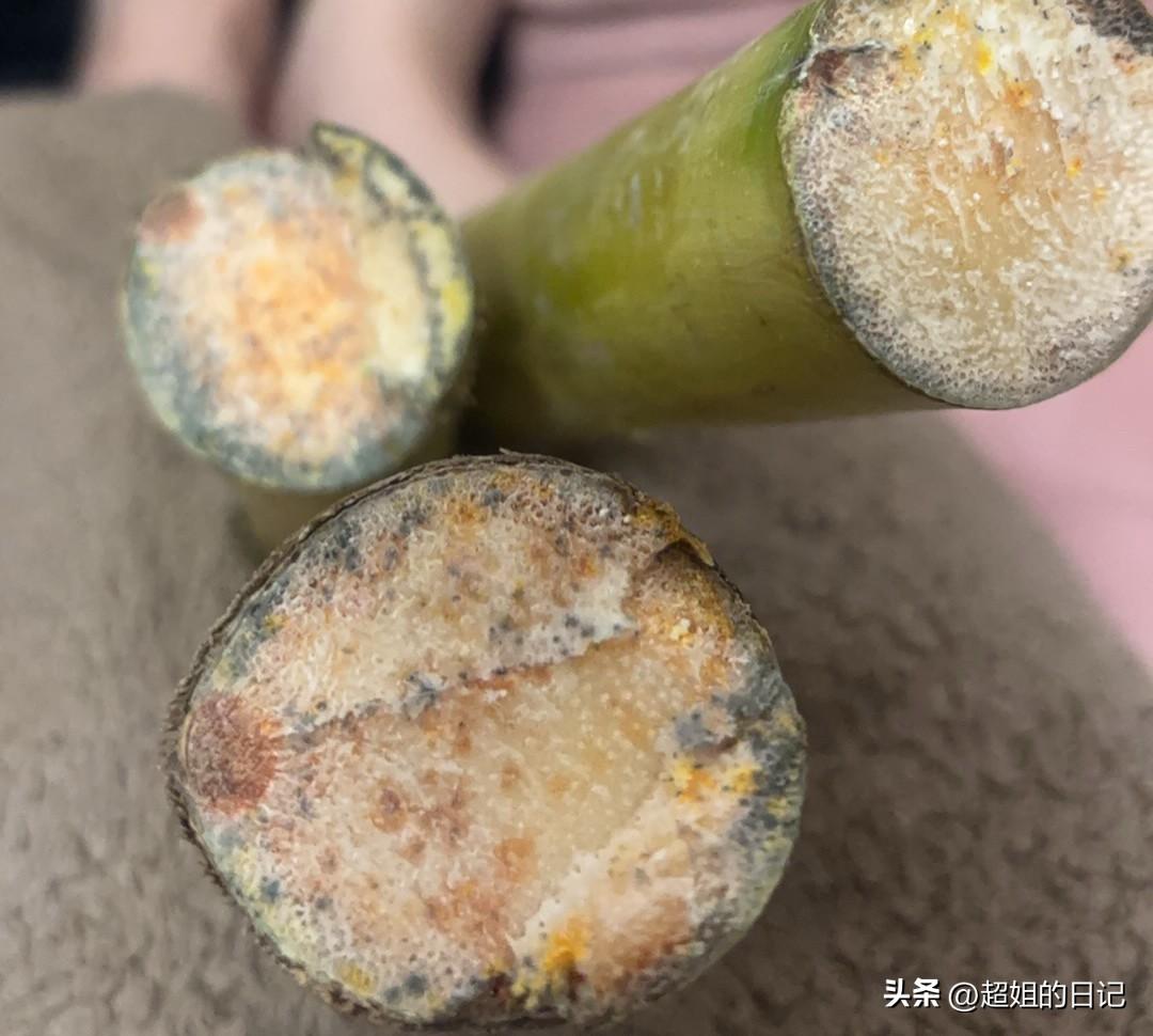 某直播间买到的甘蔗，大家看看，这样的还能吃么？
偶然刷到一个直播间，画面是一个人