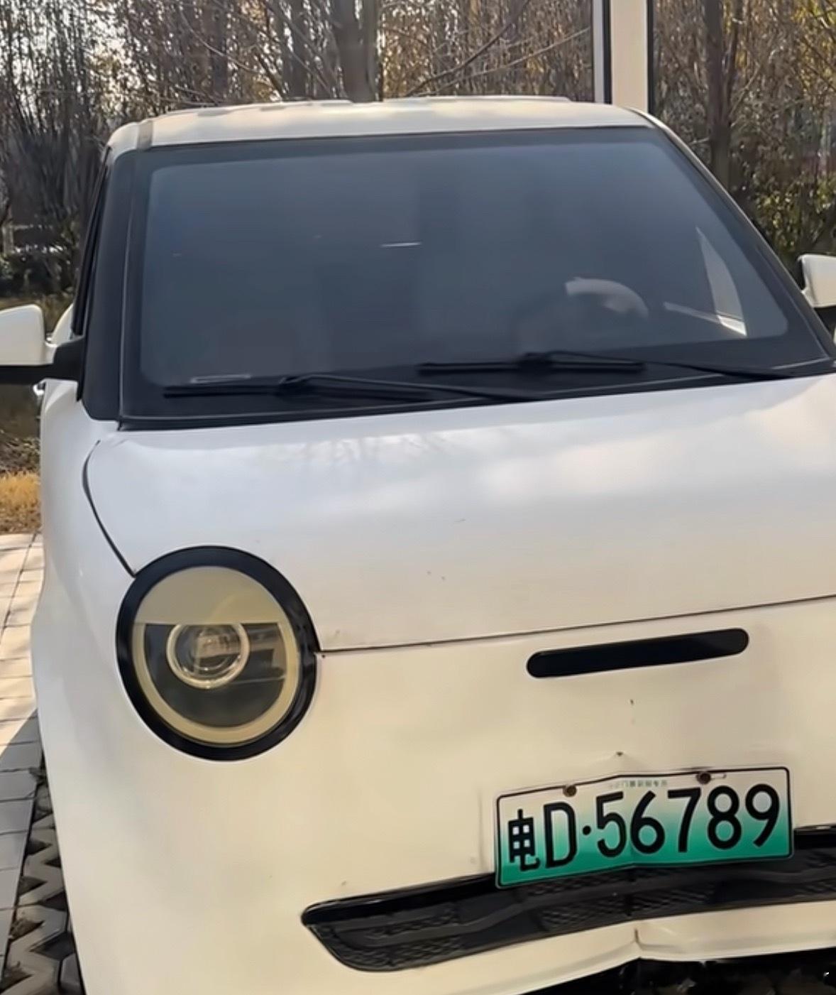 不看车牌子我真的以为这是糯玉米.... 