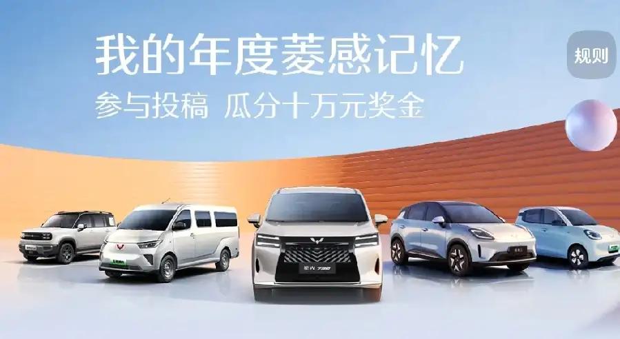 2025年市场表现与延续性
‌细分市场统治力‌：
宏光MINIEV家族2025年