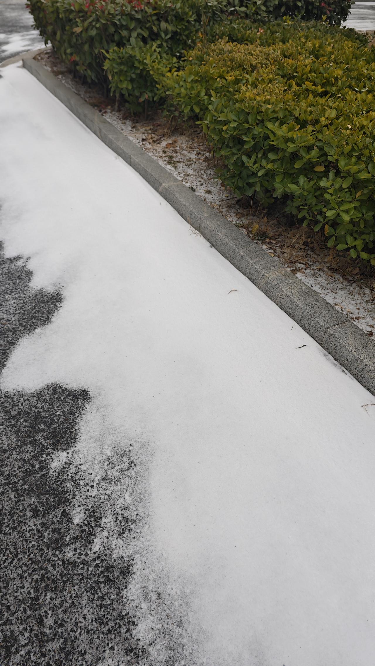 【南国雪落，美得意外！赣榆初雪刷屏，网友：不输北方的温柔暴击】

❄️ 今天凌晨