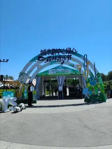 今天有多晒手机打不开任何软件了绿心森林音乐节 北京·城市绿心森林公园