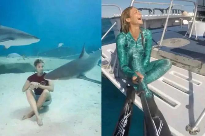 1996年，一名女潜水员帮一条鲨鱼取下了挂在牙齿上的大鱼钩。但没过多久，这条鲨鱼