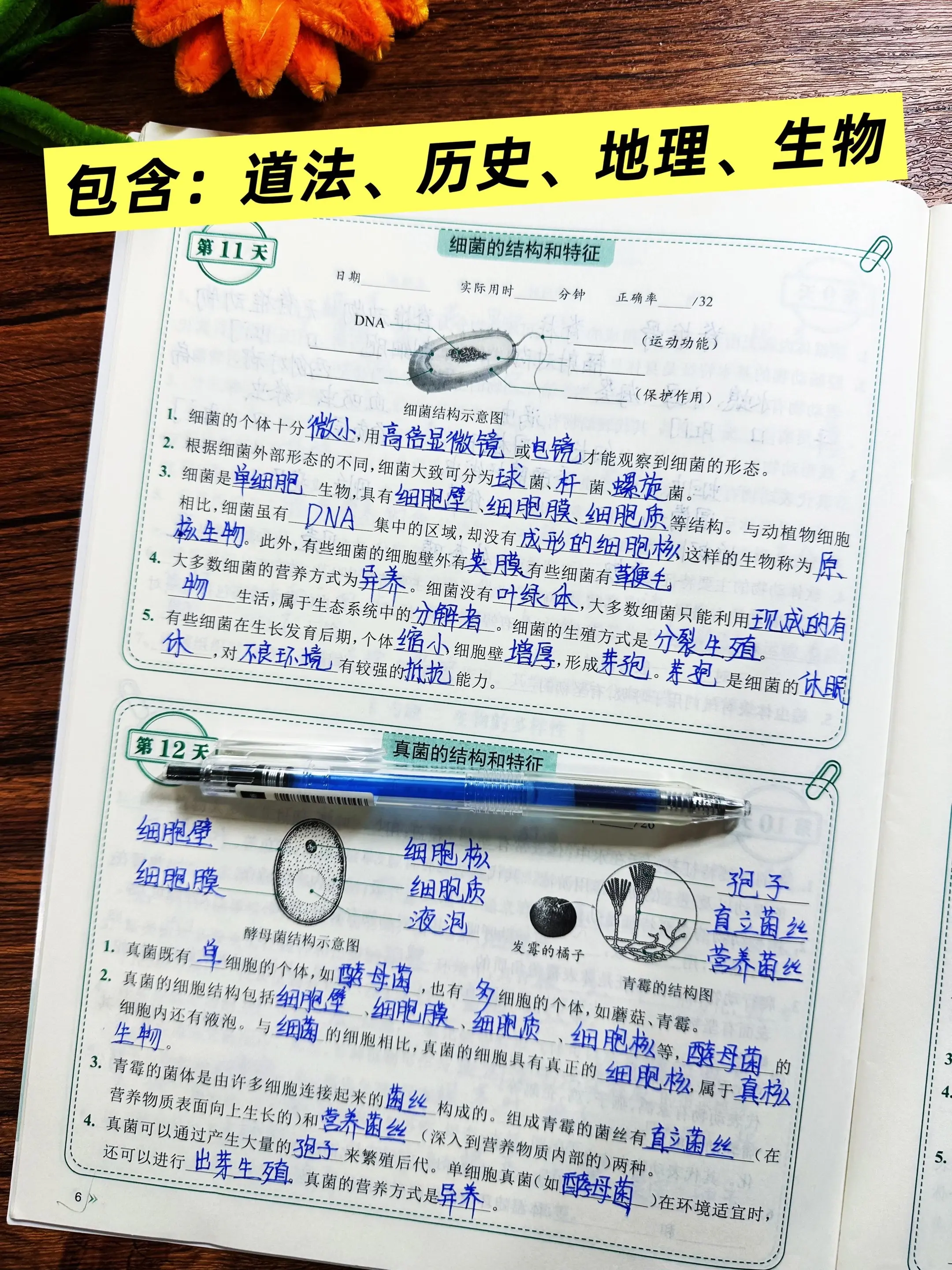 初中小四门睡前默写。初中三年的知识点考点全覆盖 同步课本 利用假期每天...