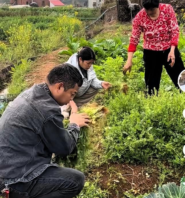 姚家男儿带着一家人从洛阳回到赣州老家，一路奔波，藏着对故土与家人最深的牵挂。
 