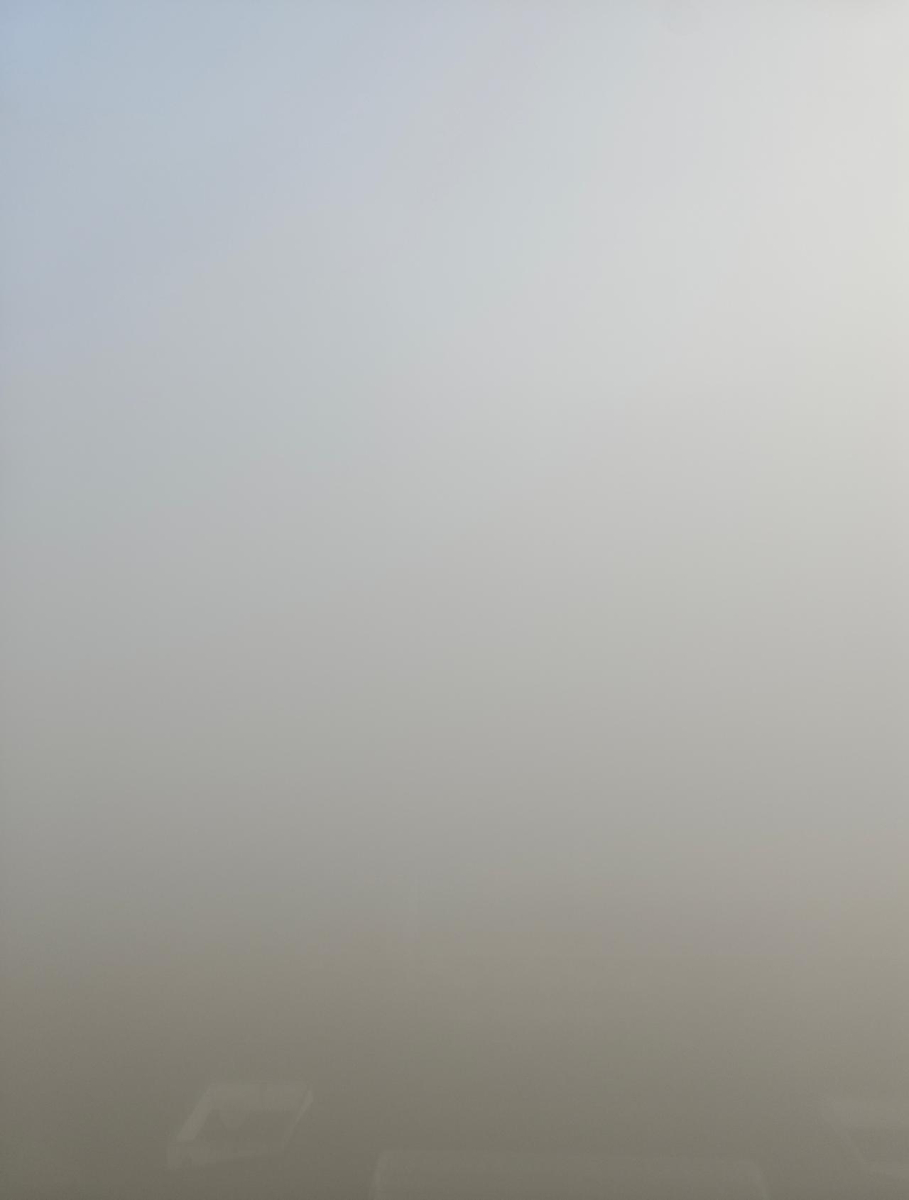 今天早晨，合肥的大雾，恍如仙境。 ​​​