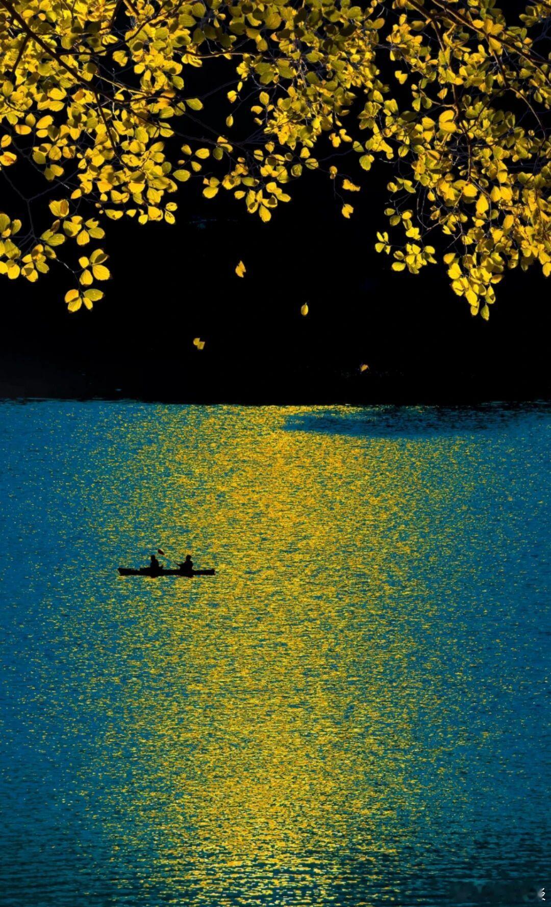 当你珍视自我，很多是非都不再重要了！ 