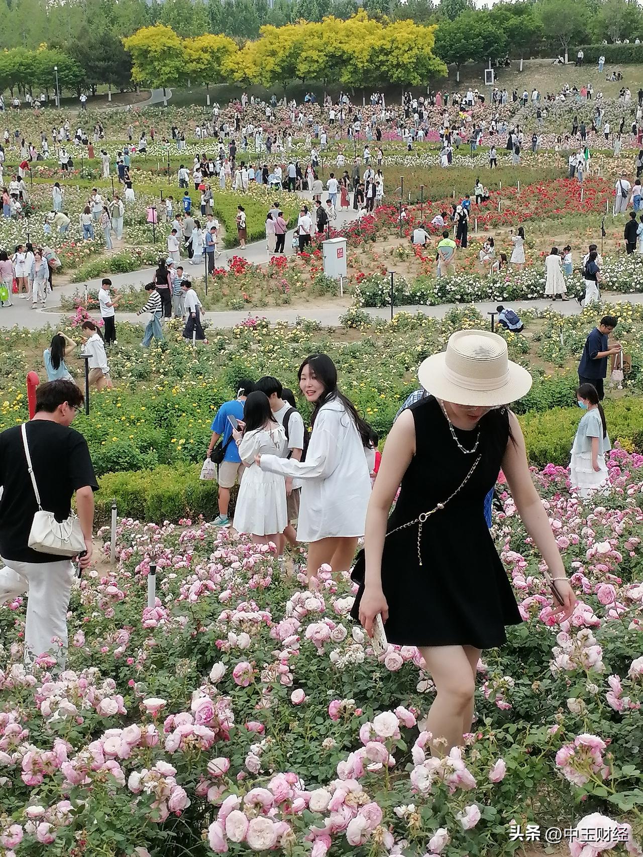 用镜头记录生活的美