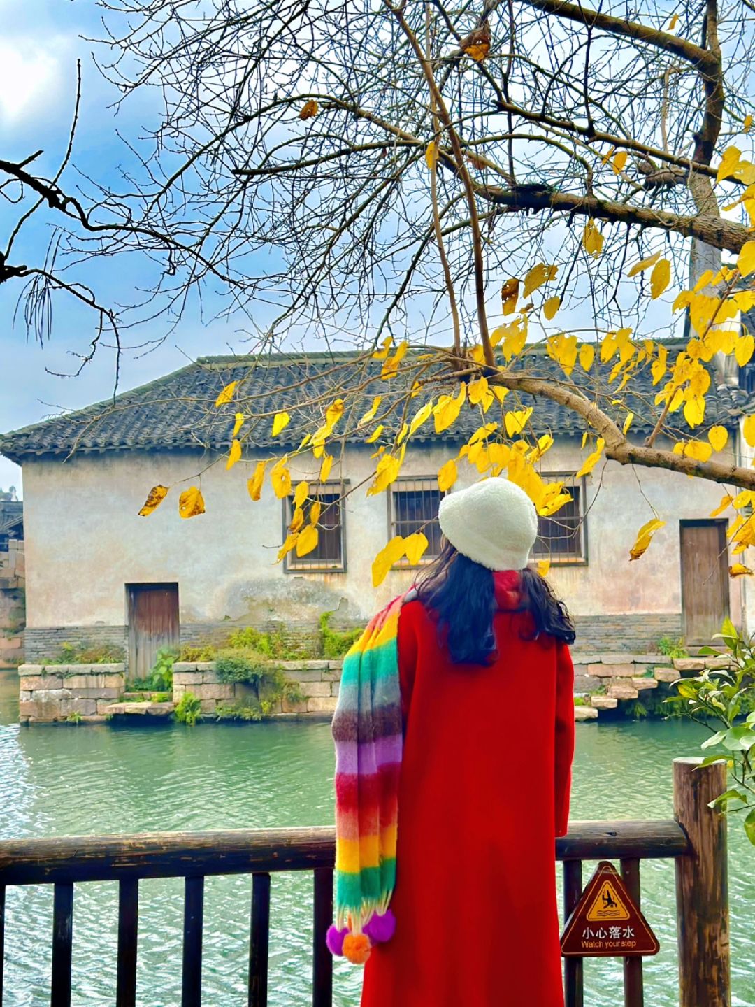 刚从乌镇回来，给大家总结了不踩雷攻略‼️