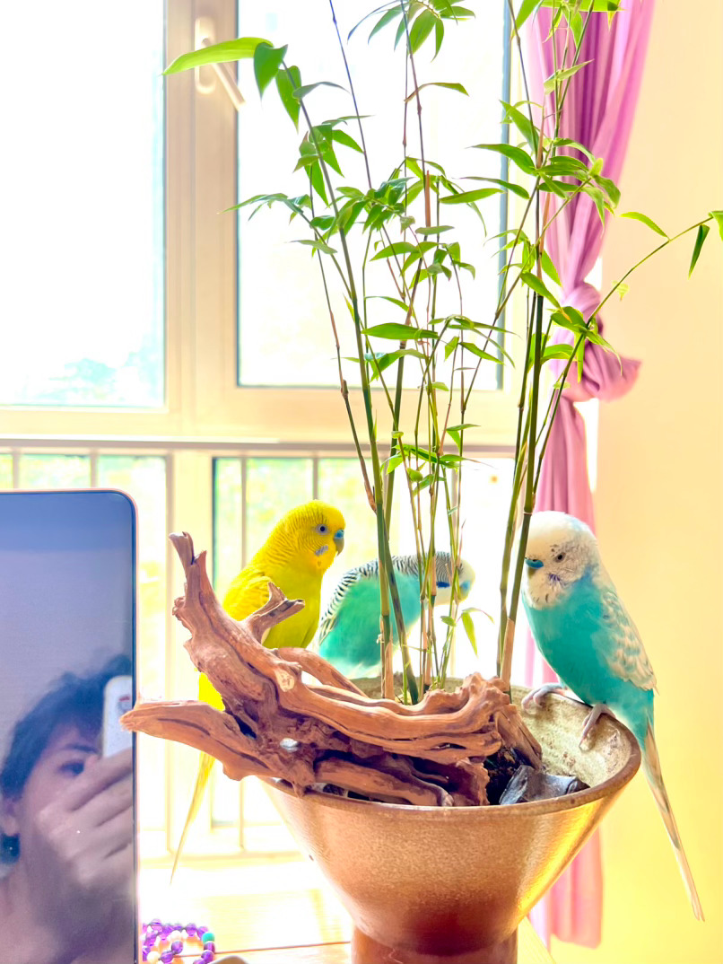 电脑闲了半个多月，今天打开写篇文章。然后接下来慢慢整理过去十多年来的旧稿剧本、小