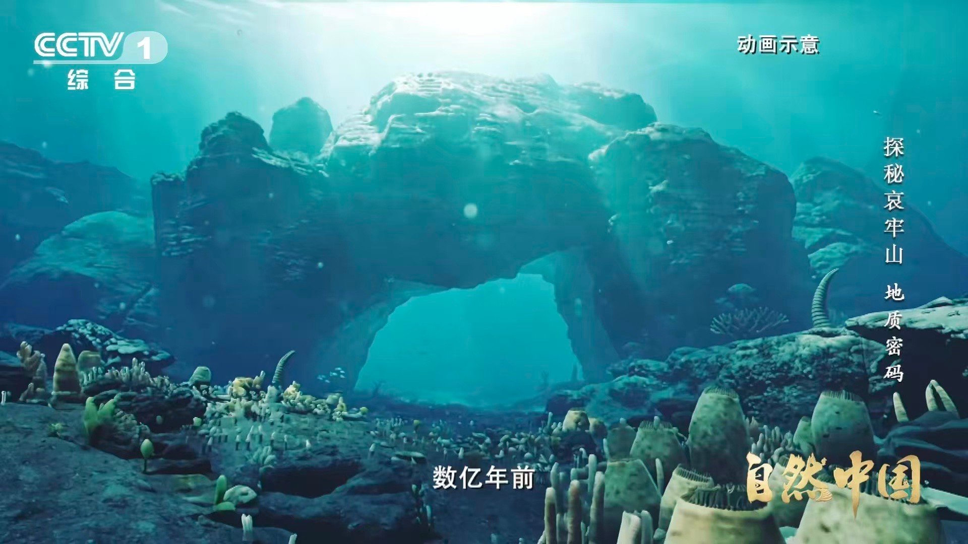 哀牢山顶惊现海底世界哀牢山顶竟藏3.75亿年前珊瑚化石 站在山顶，俯瞰的是逝去的